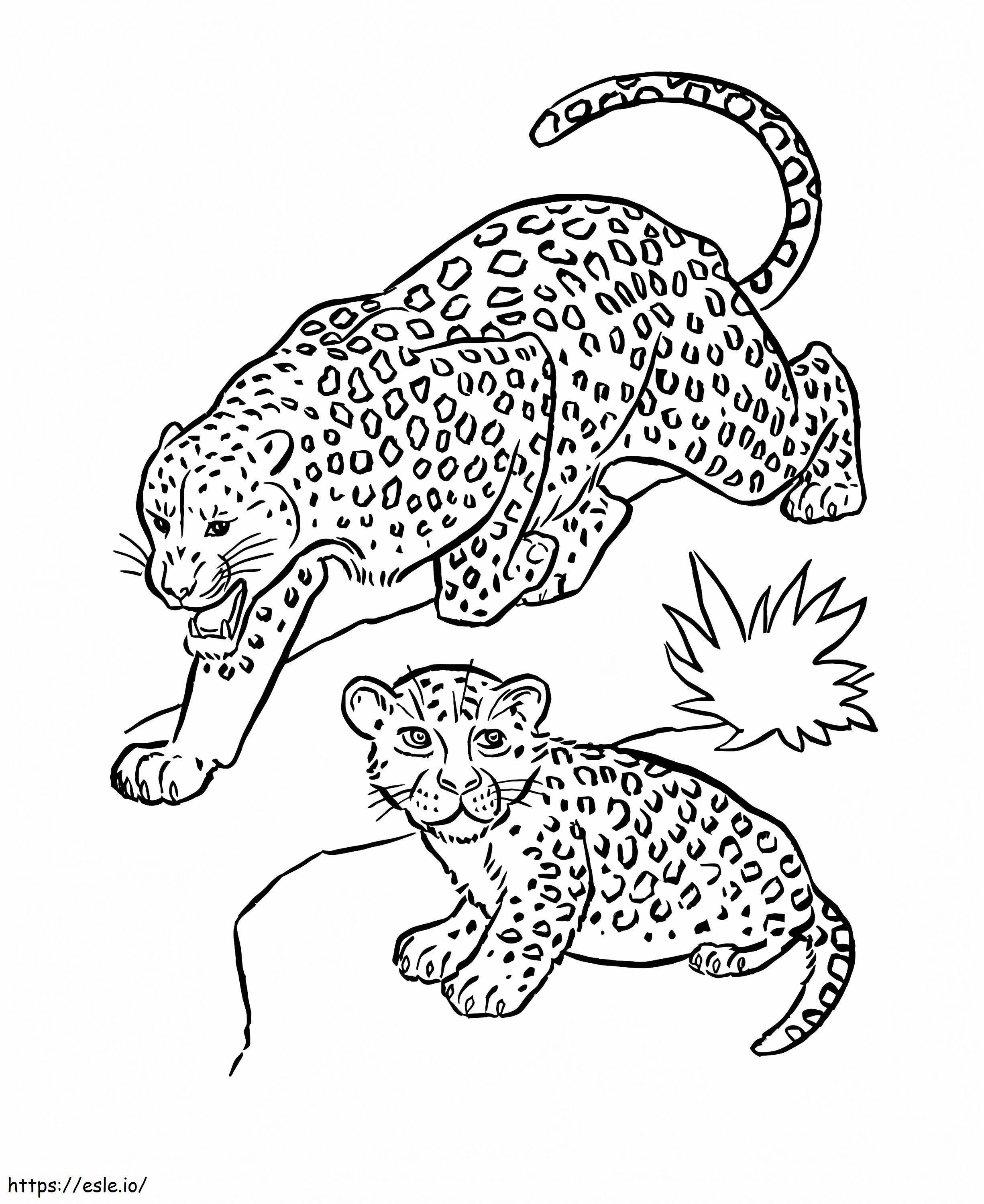 Twee Jaguars kleurplaat kleurplaat