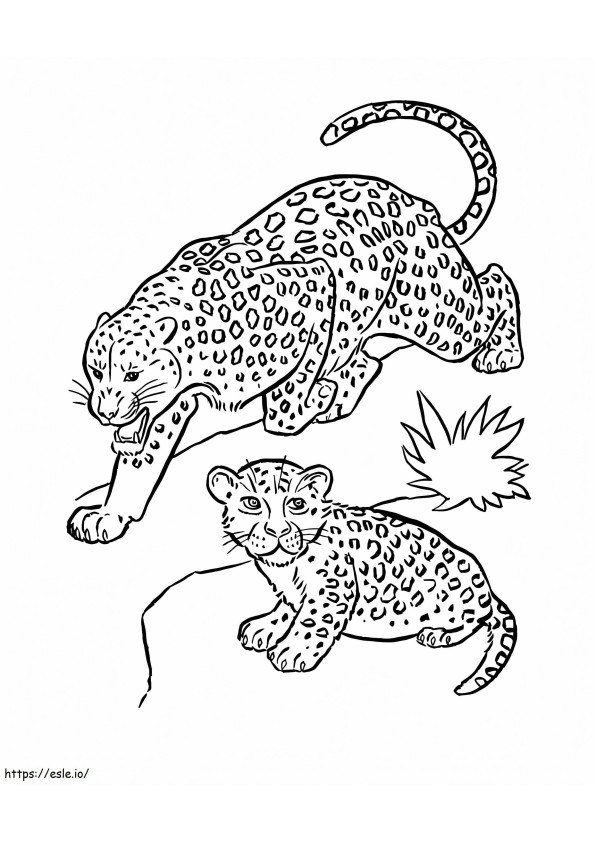 Doi jaguari de colorat