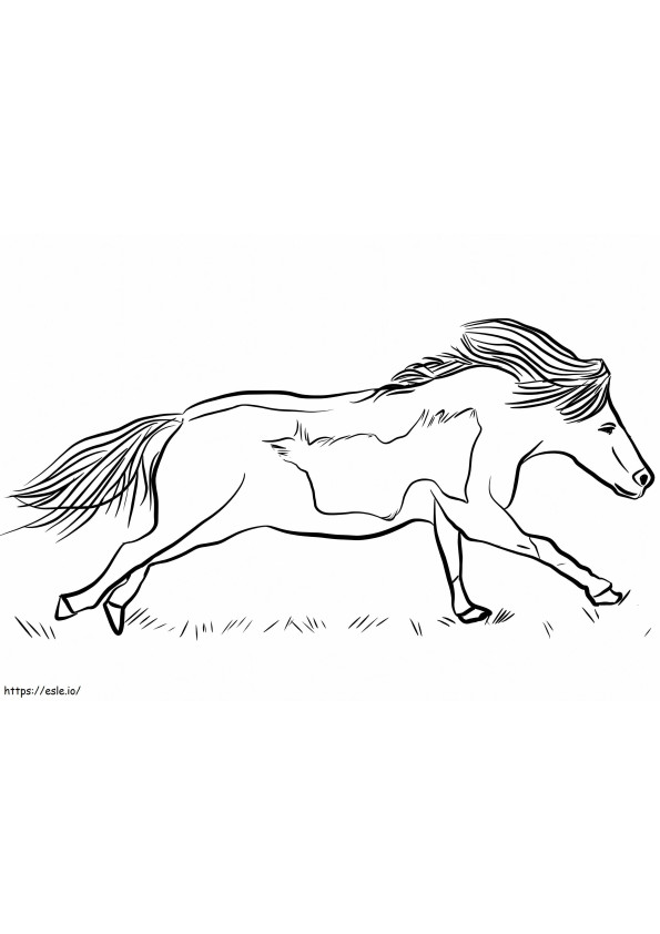 Cavalo em miniatura correndo para colorir
