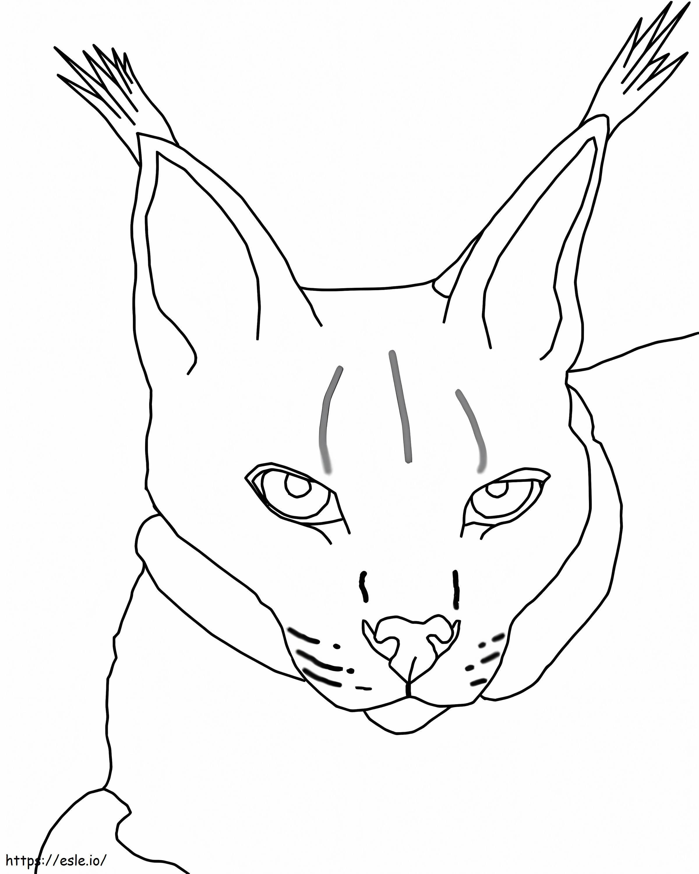 Coloriage Grand Lynx à imprimer dessin