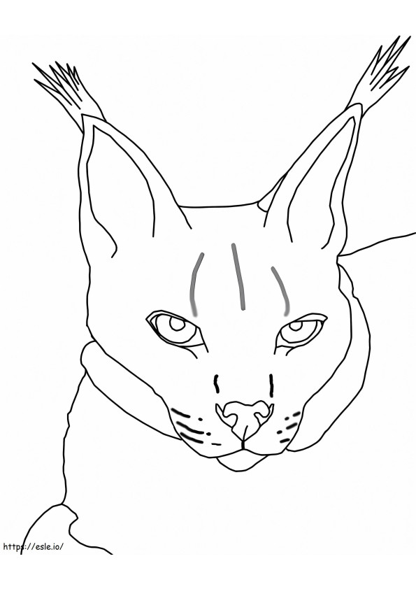Lynx yang hebat Gambar Mewarnai