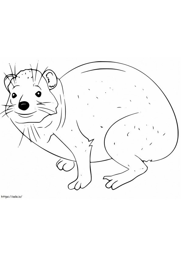 Happy Hyrax