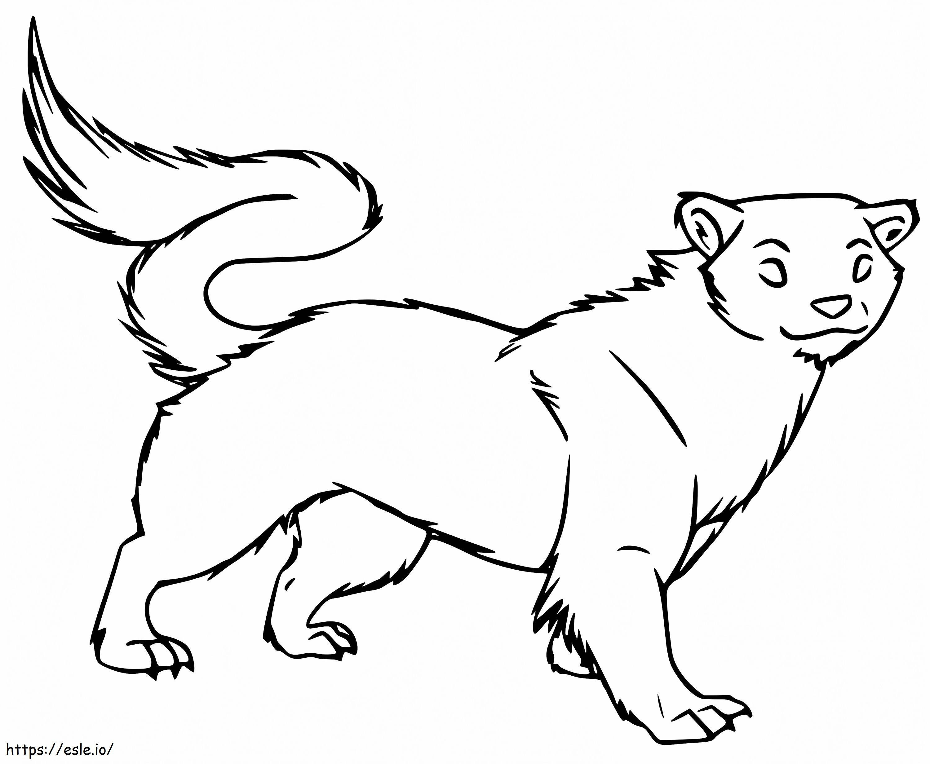 Ferret 14 coloring page