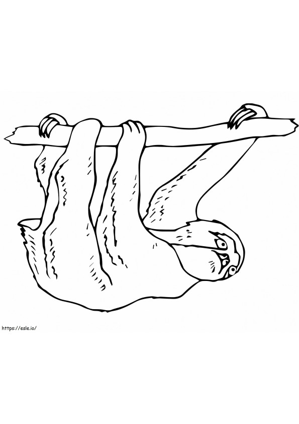 Three Toed Sloth coloring page