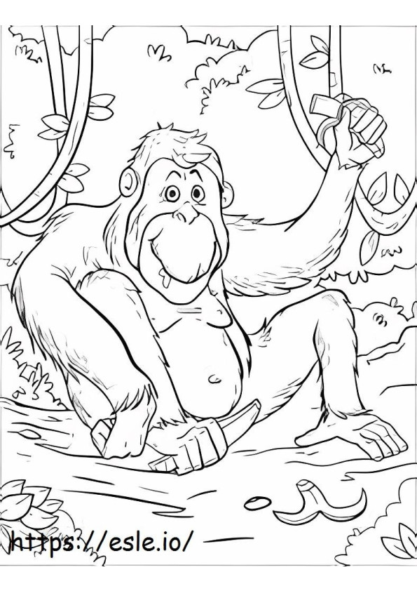 Orangotango comendo banana para colorir