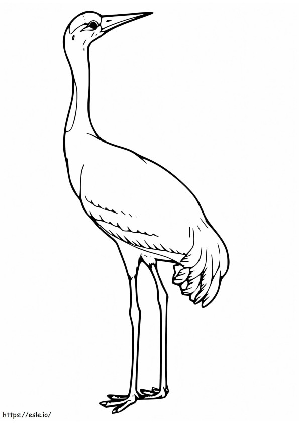 Common Crane coloring page