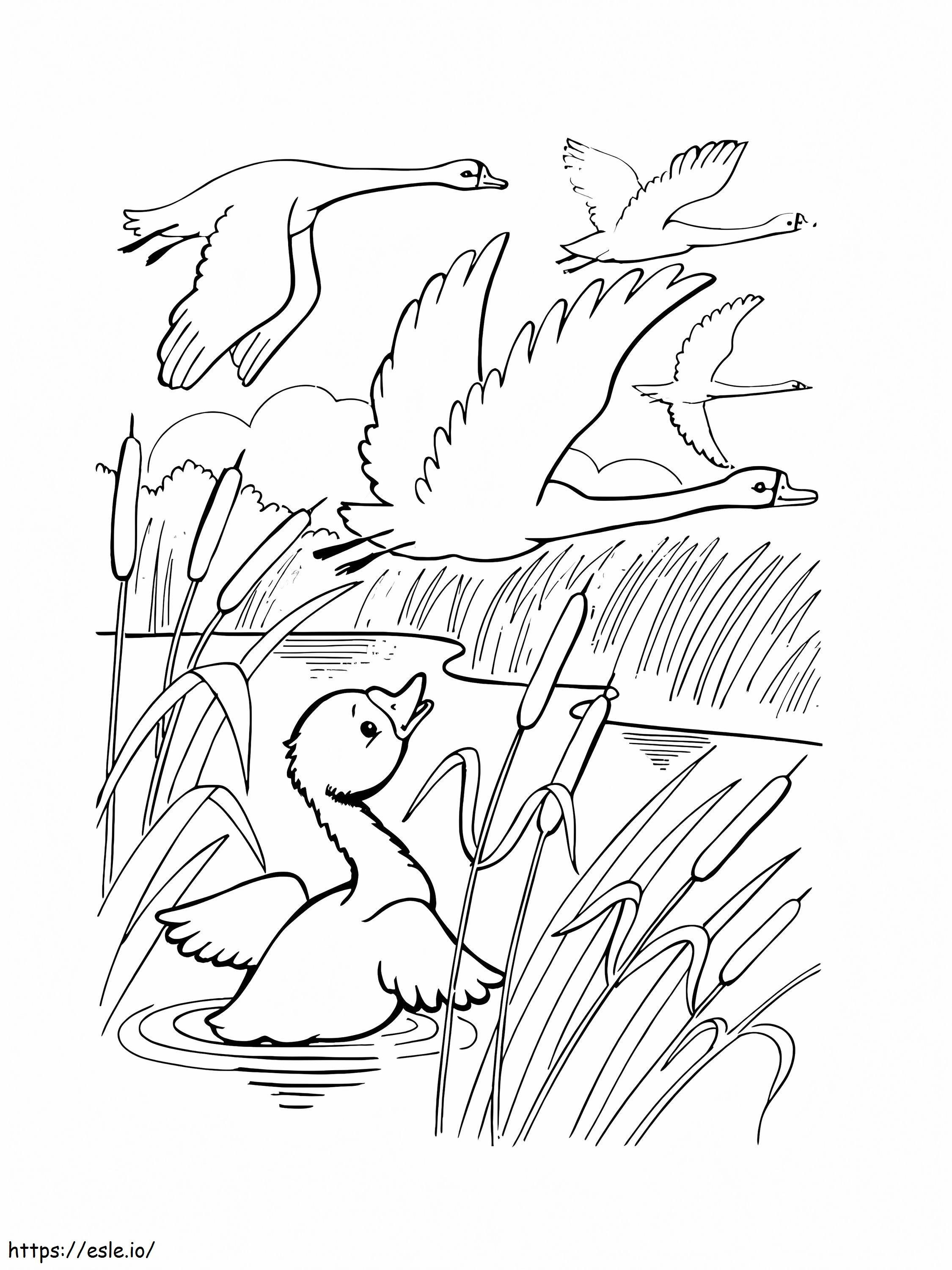 Swans Flying coloring page