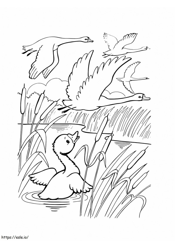 Swans Flying coloring page