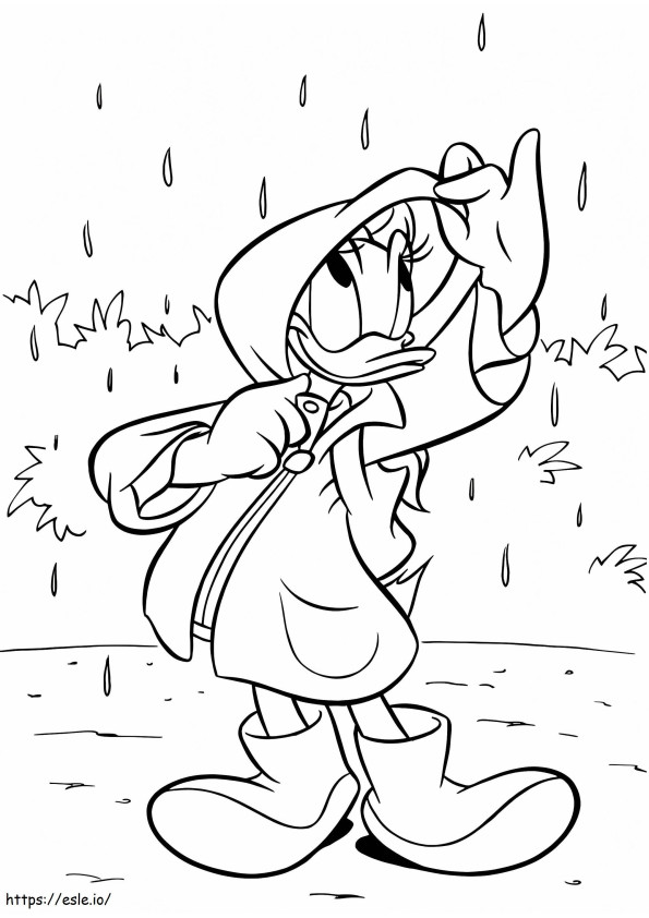 1534751544 Daisy In The Rain A4 de colorat