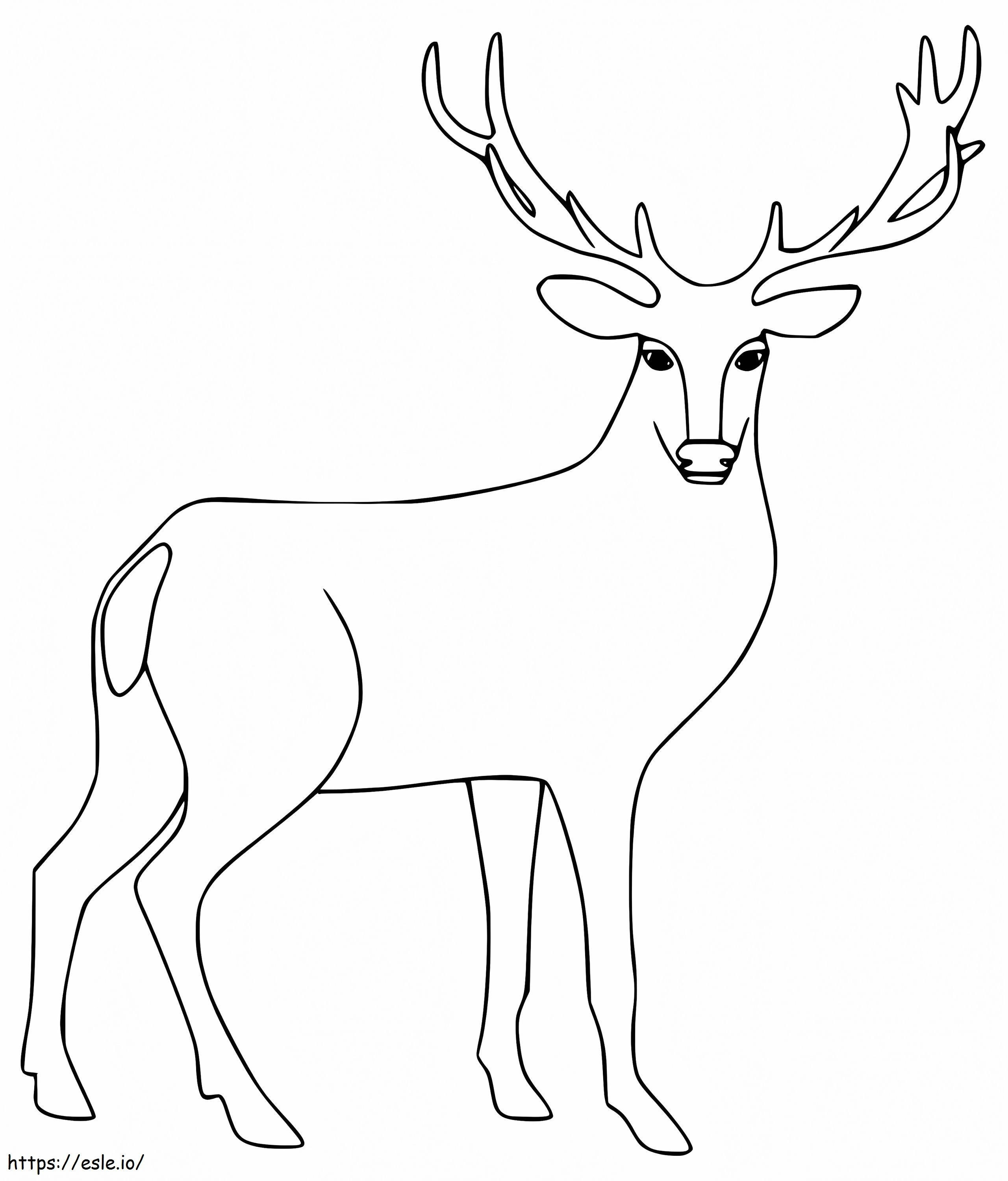 Printable Red Deer coloring page