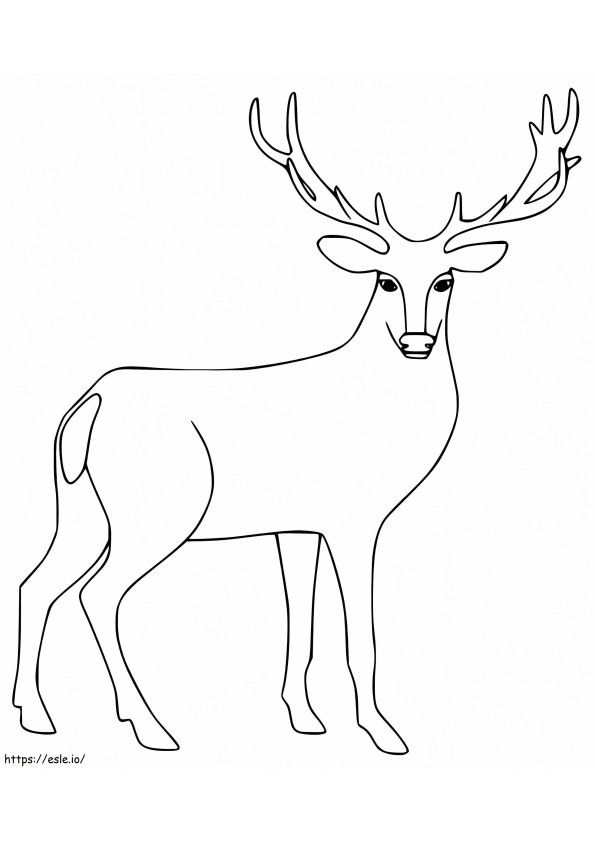 Tulostettava Red Deer värityskuva