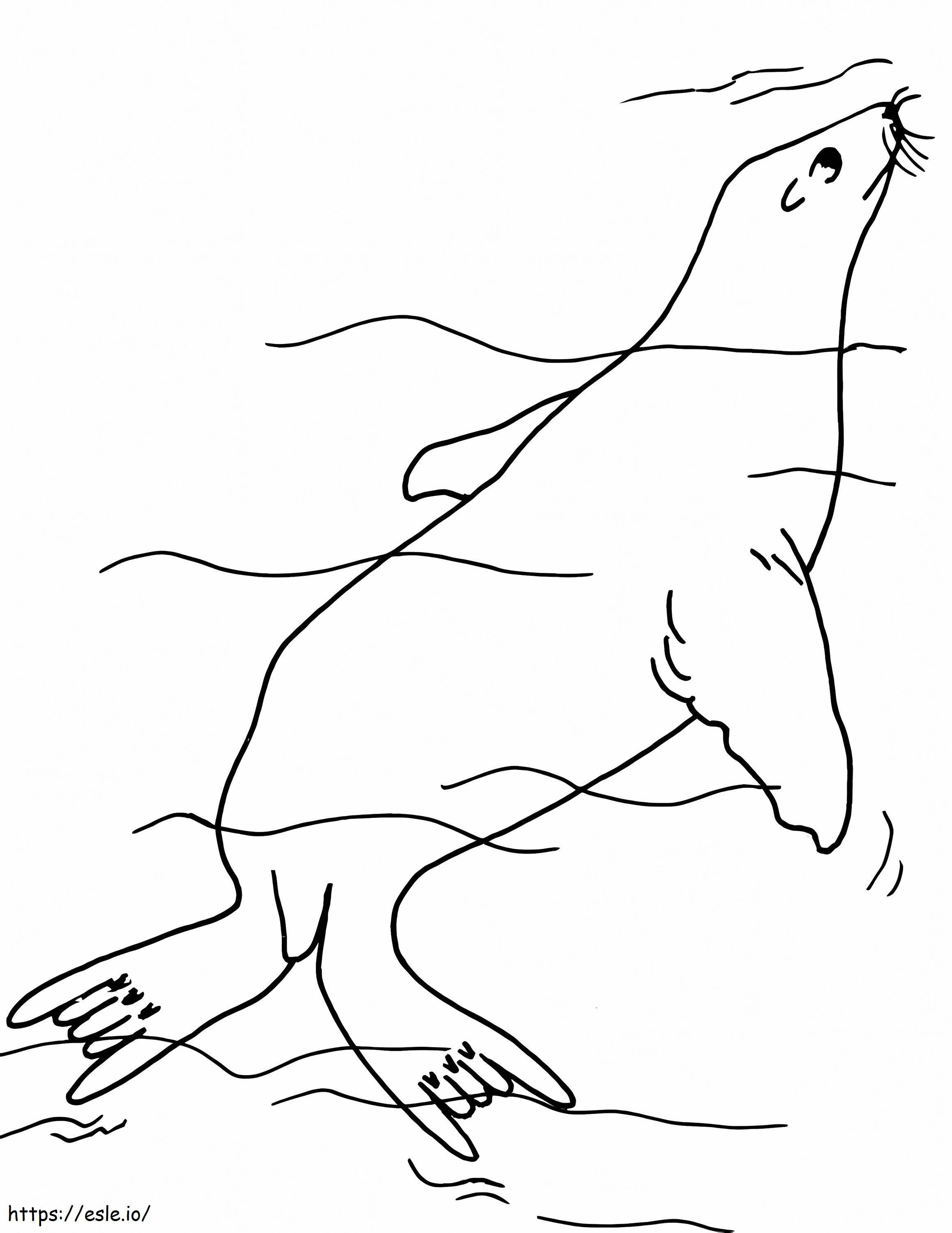 Seal Underwater coloring page