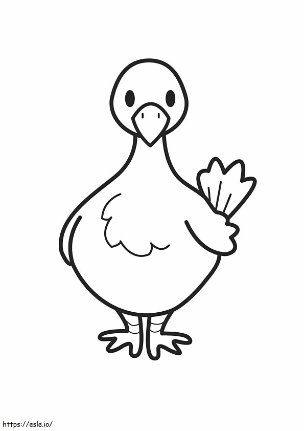 Pigeon 5 coloring page