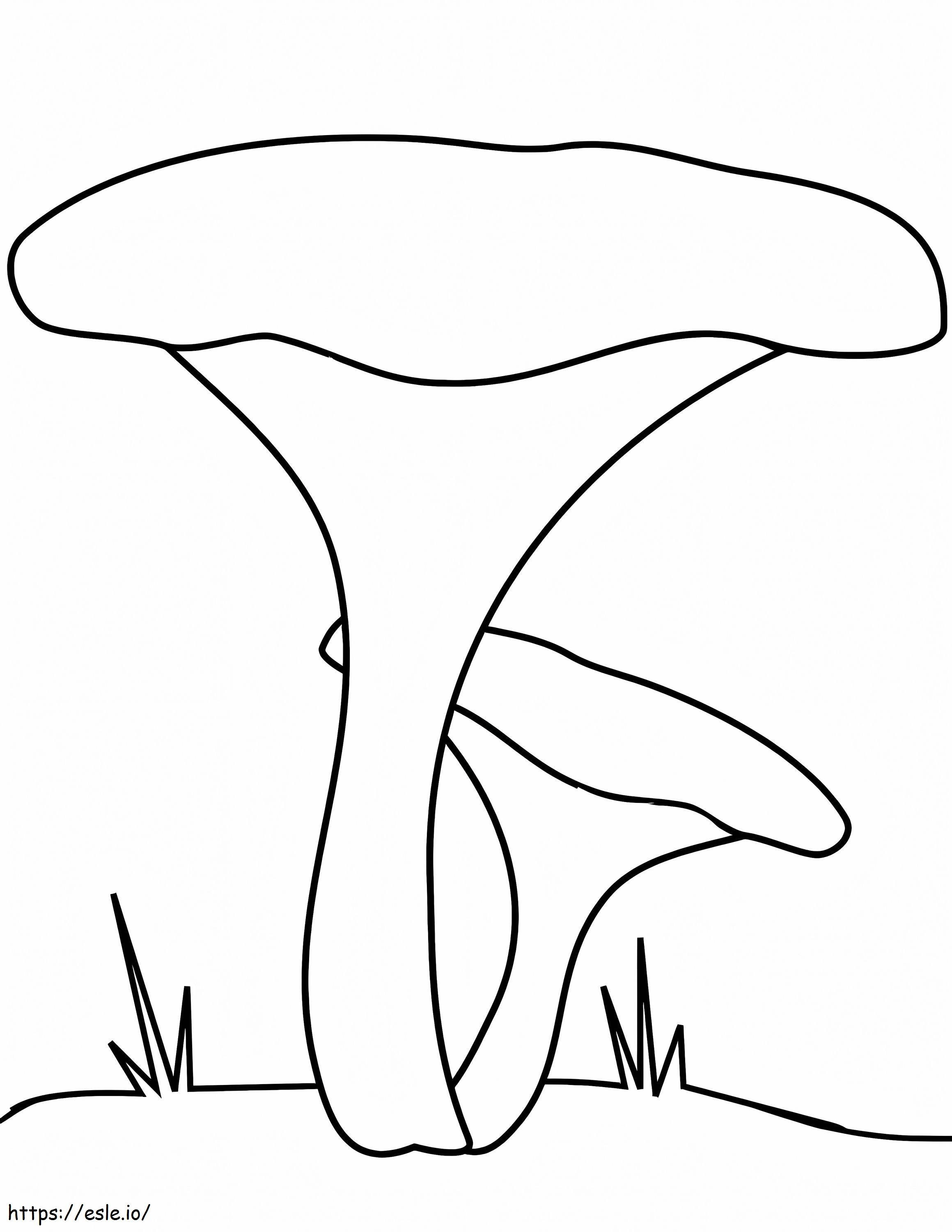 Cogumelos Chanterelle para colorir