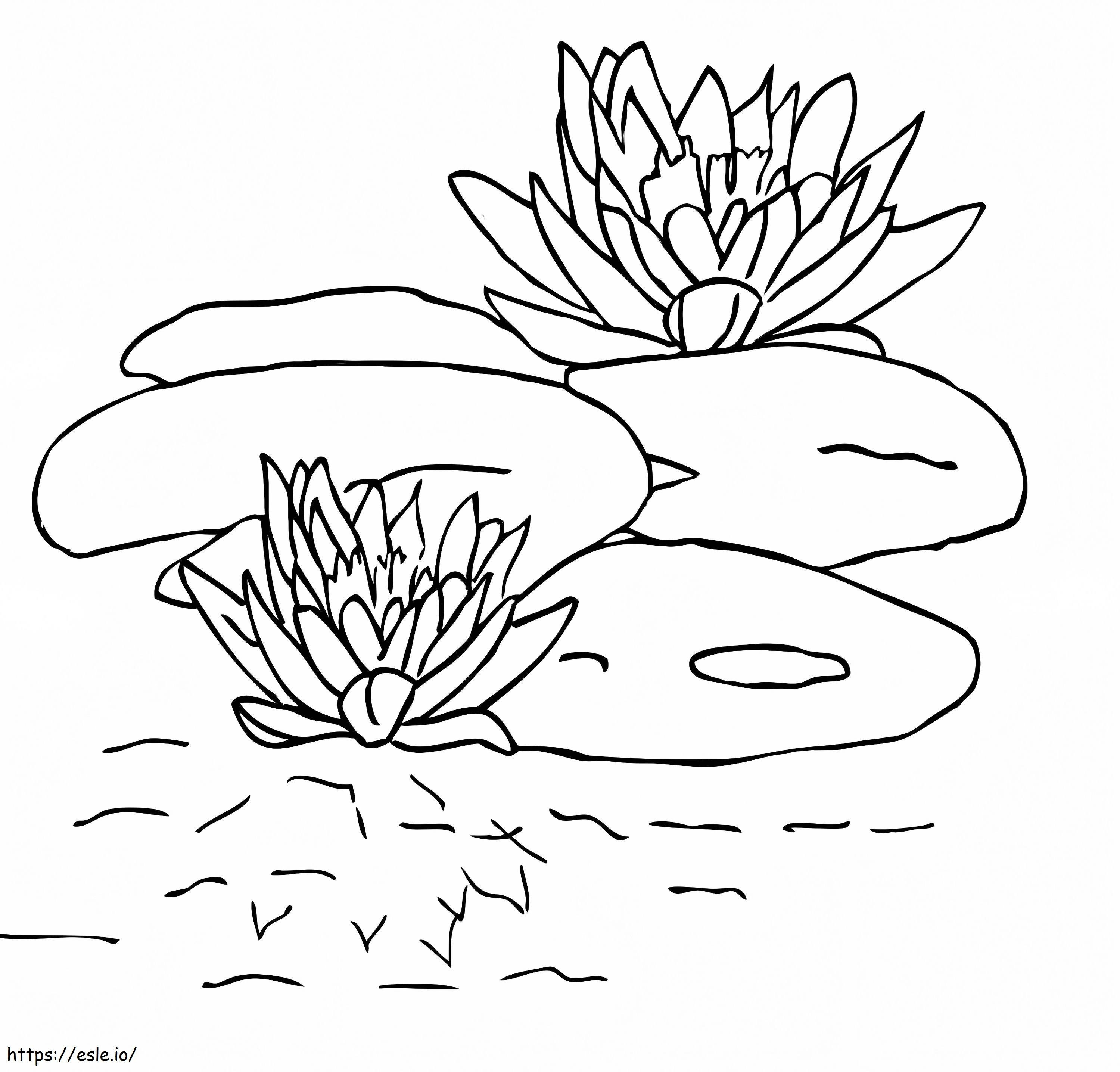 Lily Pad 2 coloring page