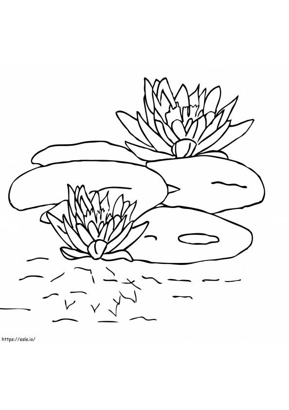 Lily Pad 2 coloring page