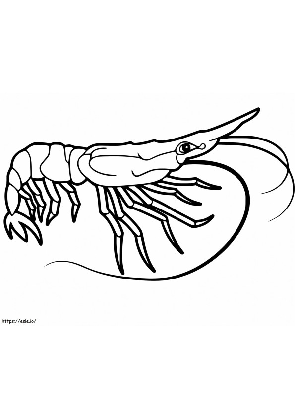 Coloriage Crevettes à pattes blanches à imprimer dessin