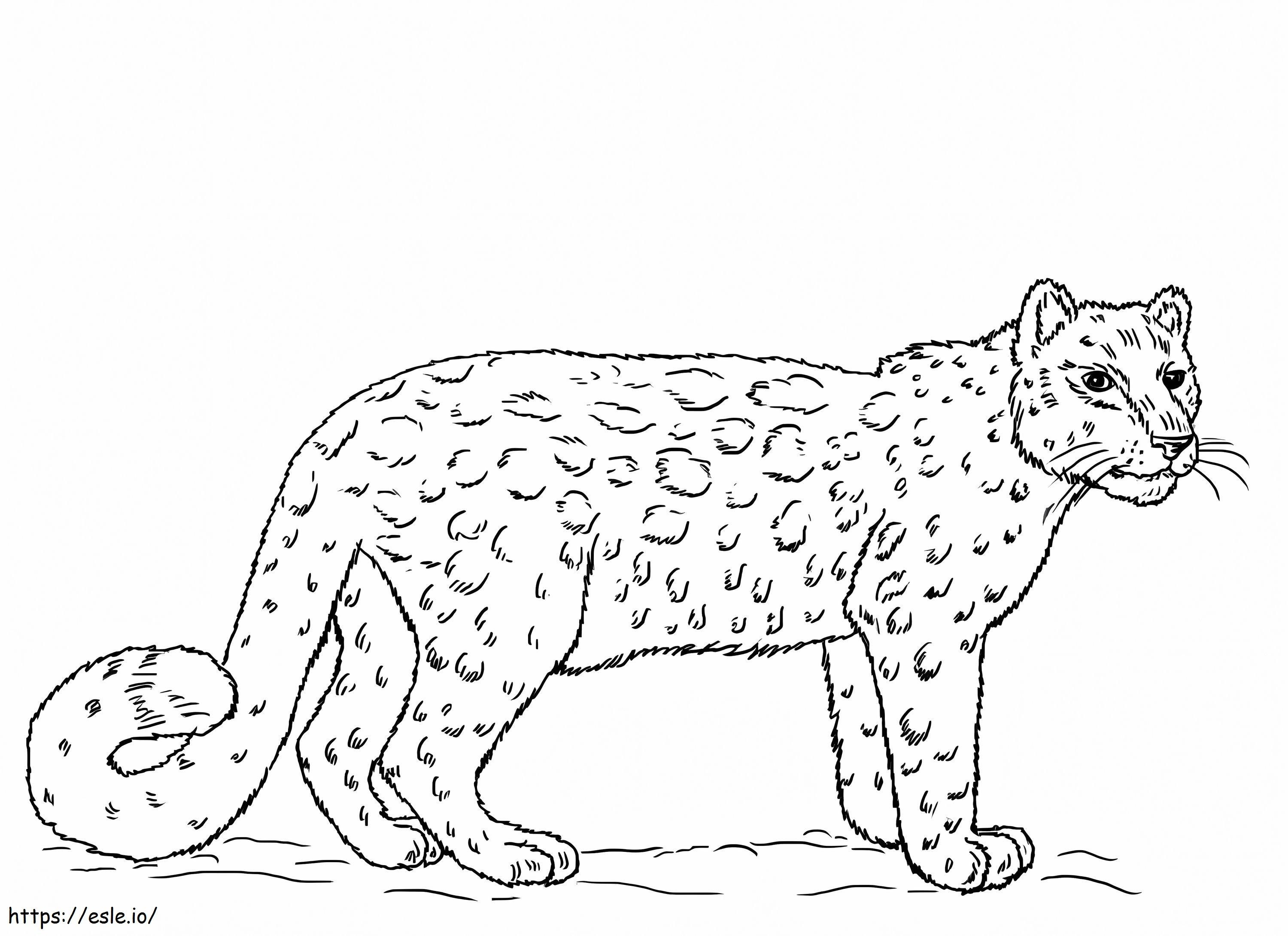 Leopardo da neve simples para colorir