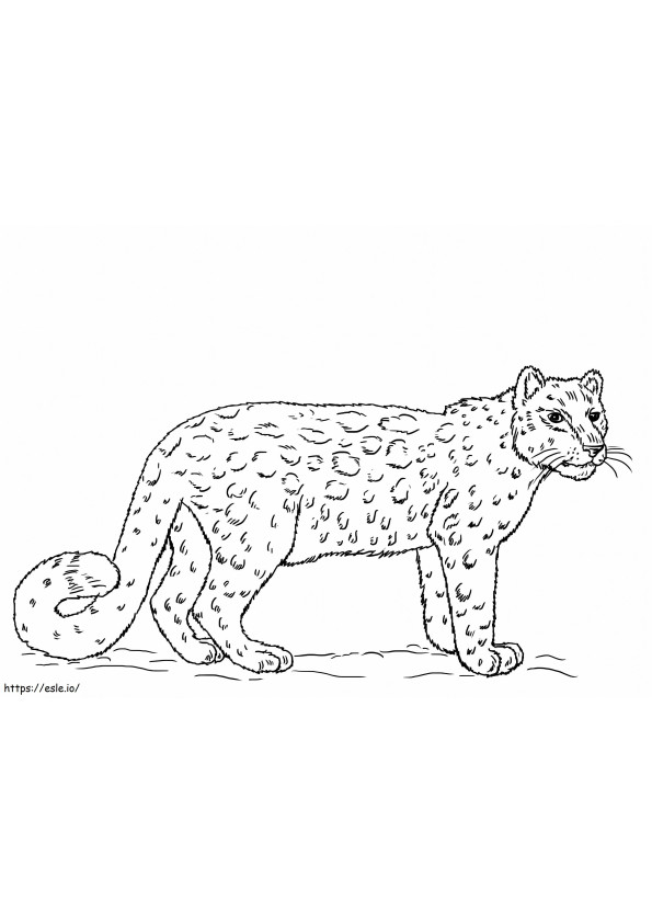 Leopardo da neve simples para colorir