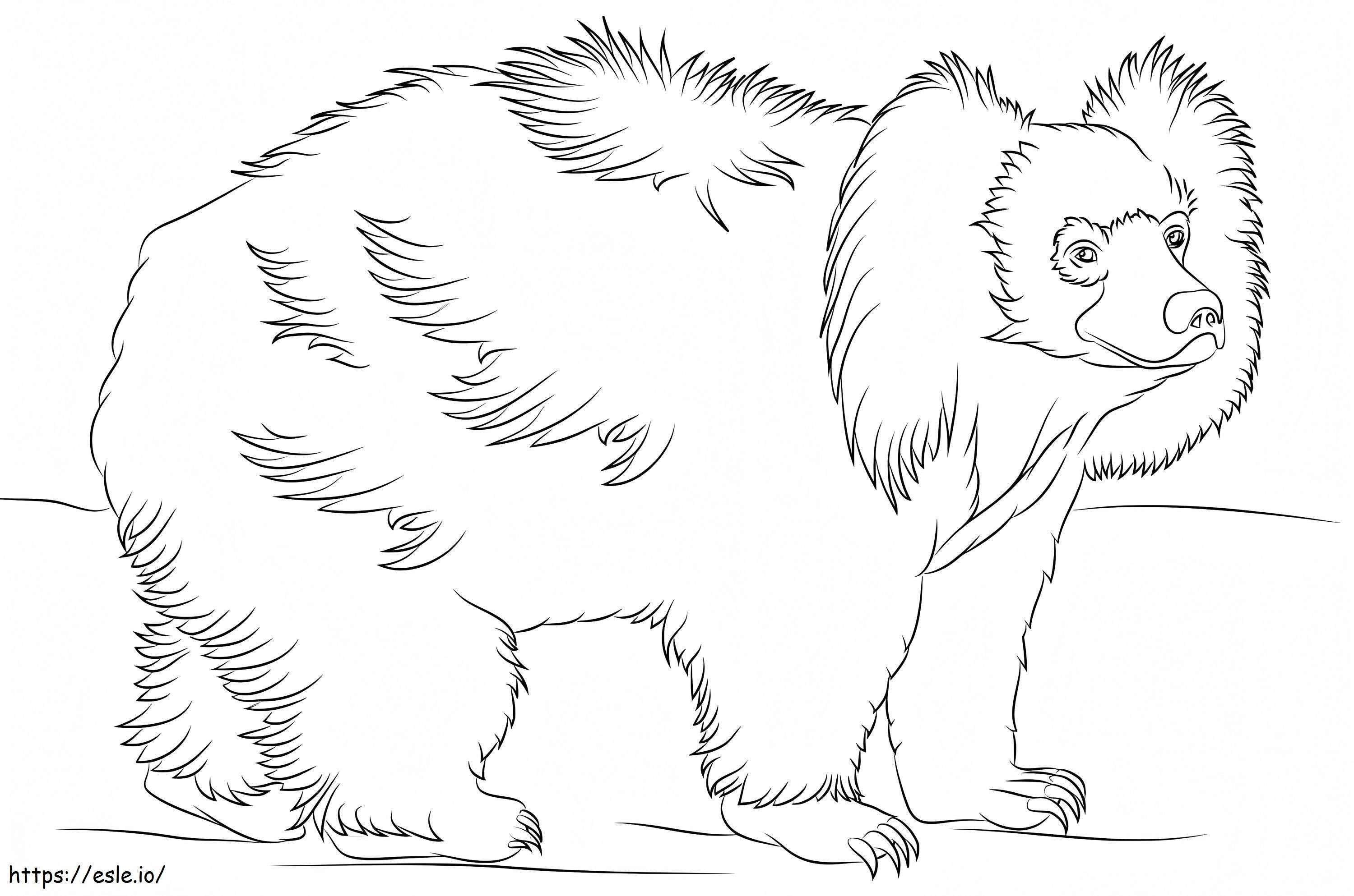 Podstawowy niedźwiedź leniwiec kolorowanka
