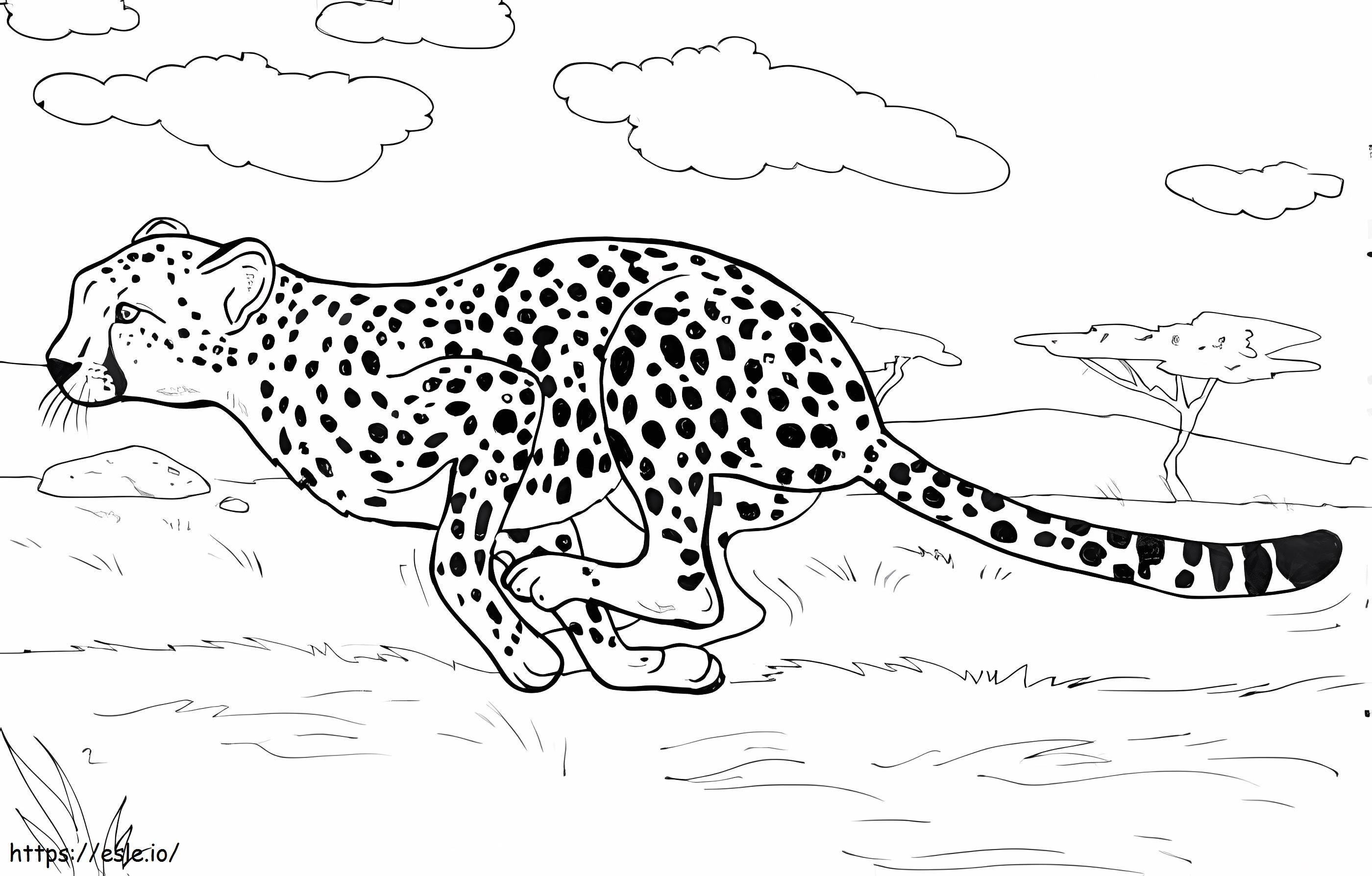 Cheetah Running coloring page