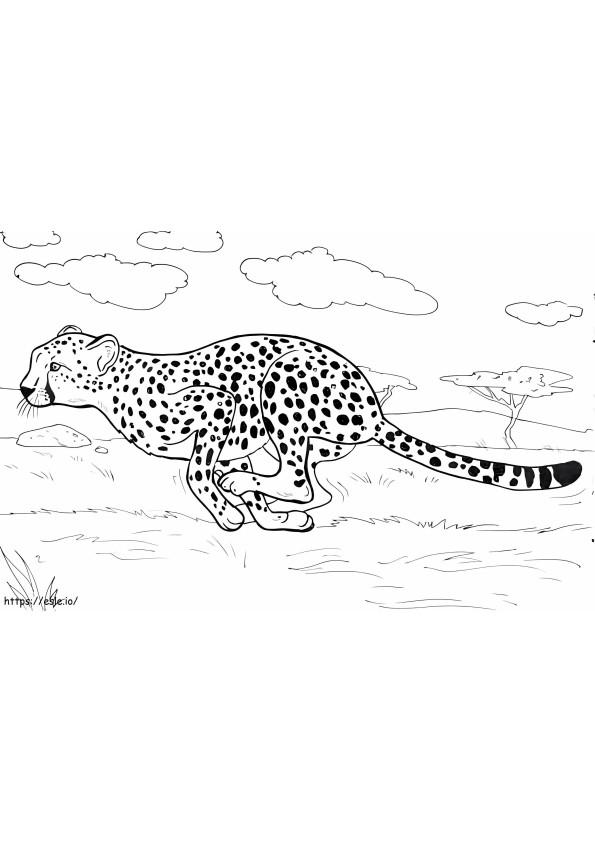 Cheetah rennen kleurplaat