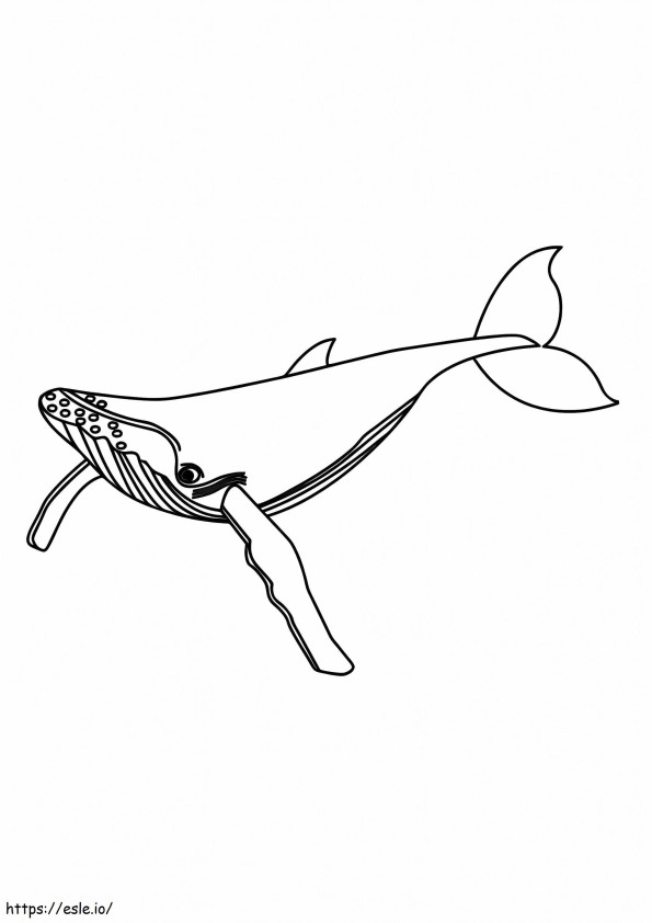 シロナガスクジラ ぬりえ - 塗り絵