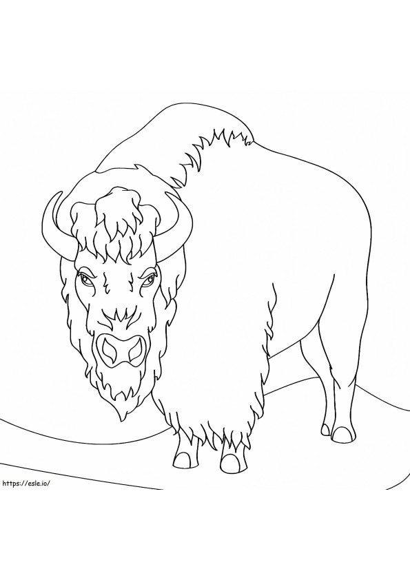 Coloriage Bison en colère à imprimer dessin