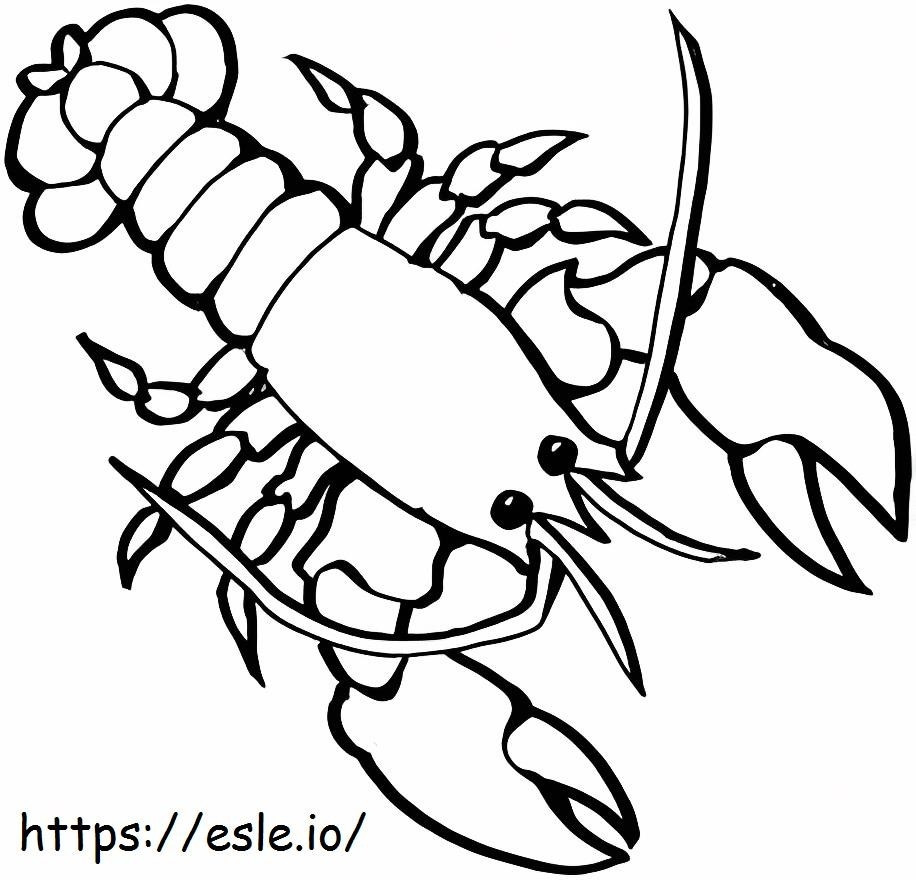Lobster Drawing coloring page