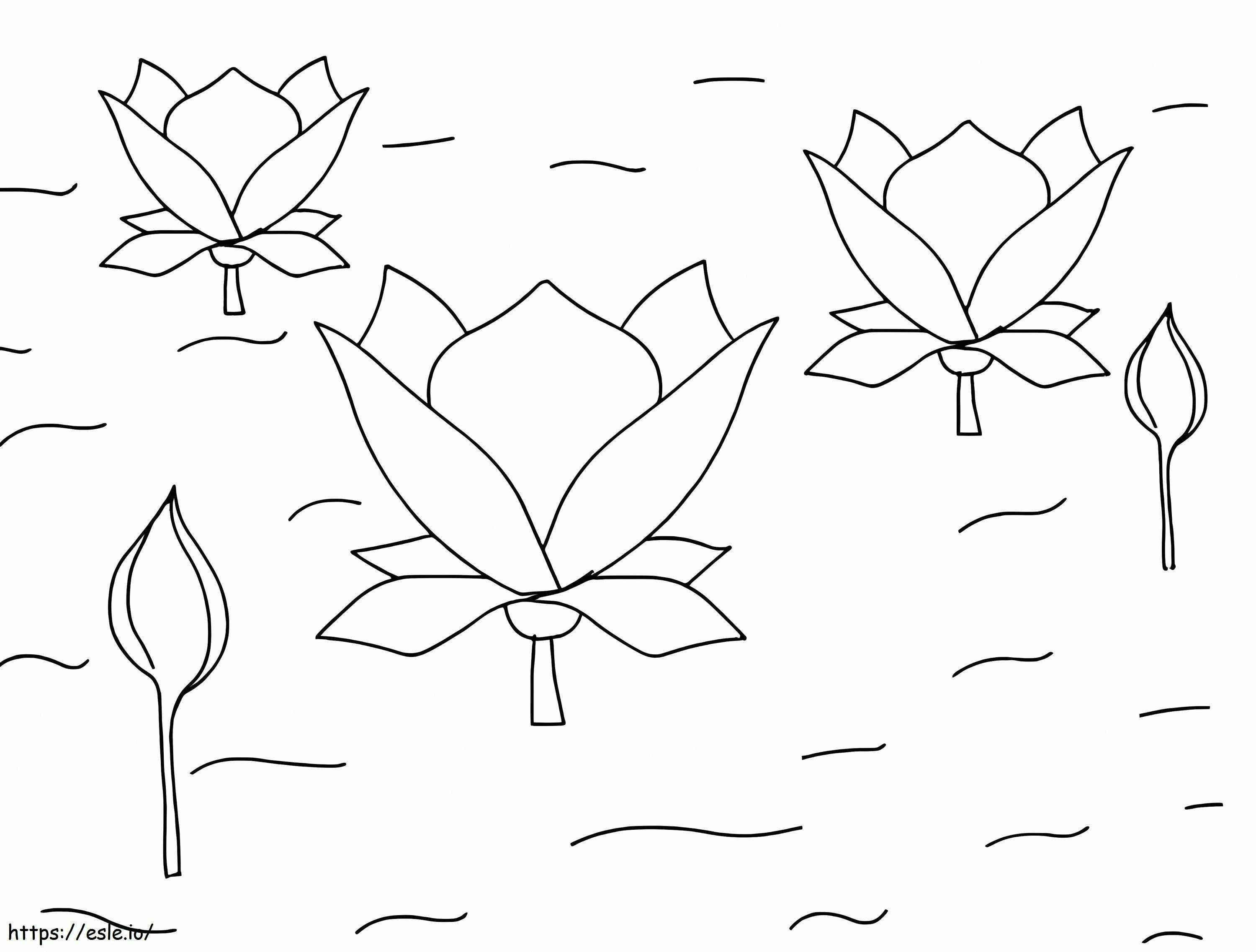 Coloriage Fleurs De Lotus à imprimer dessin
