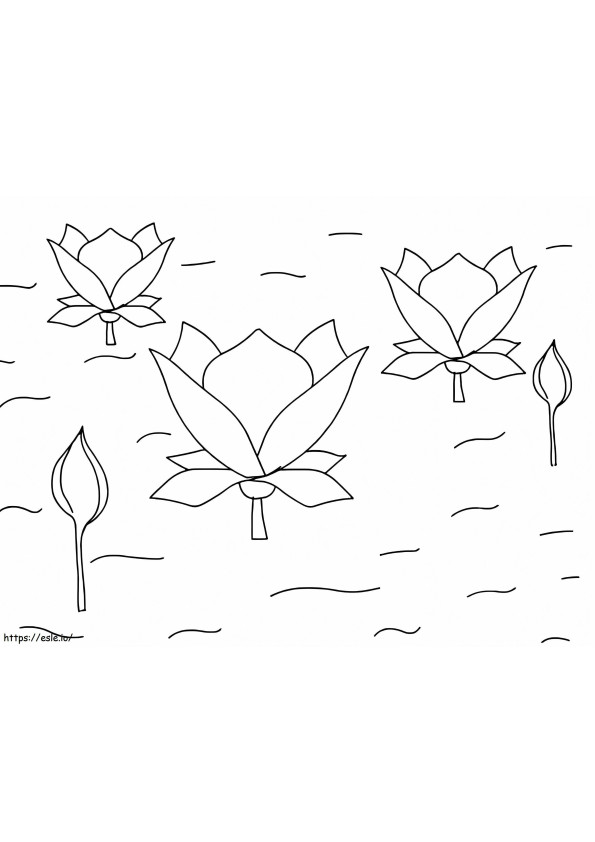 Flori de Lotus de colorat