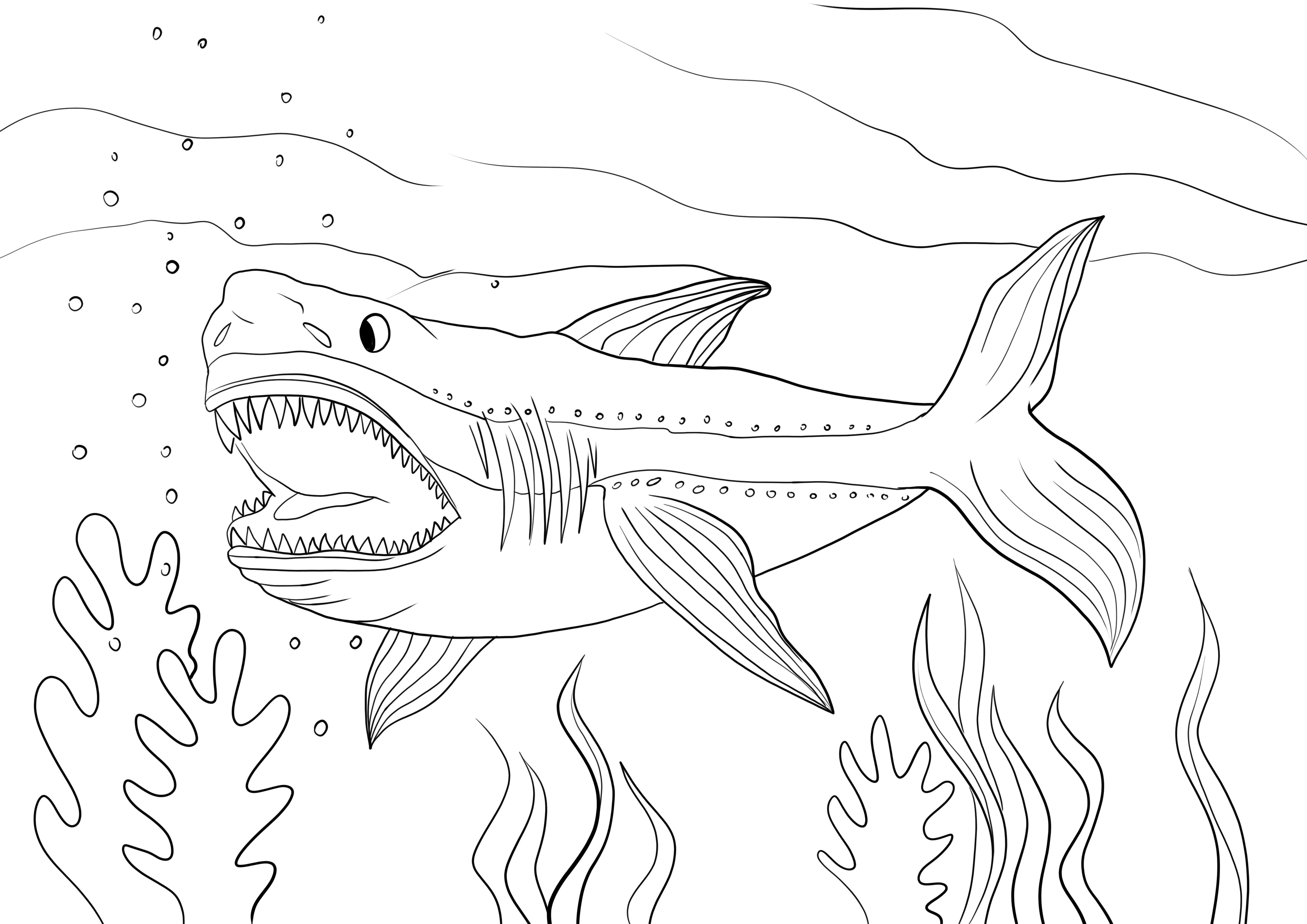 Requin mégalodon à imprimer et colorier ou télécharger gratuitement
