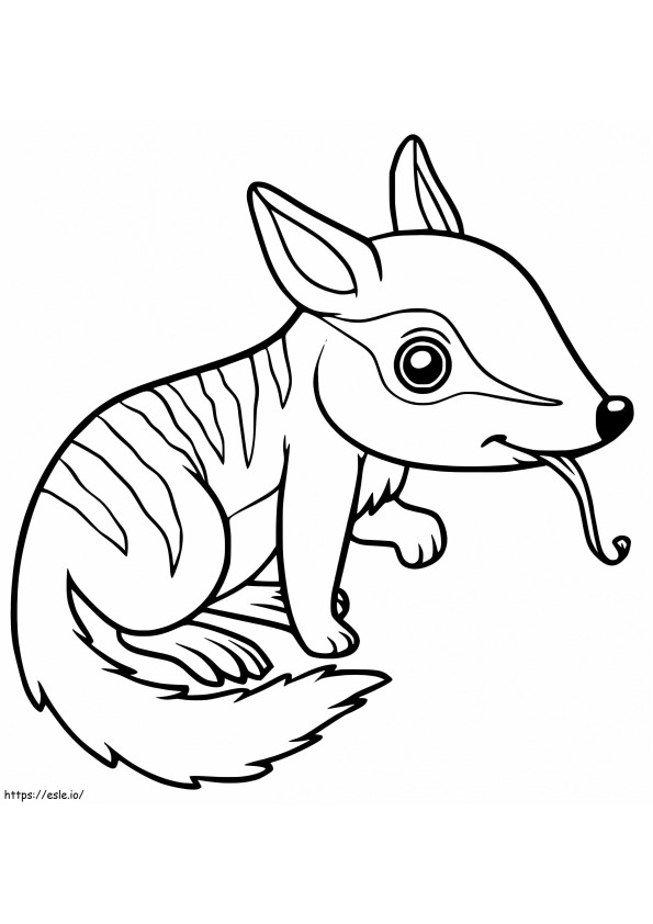 Baby Numbat coloring page