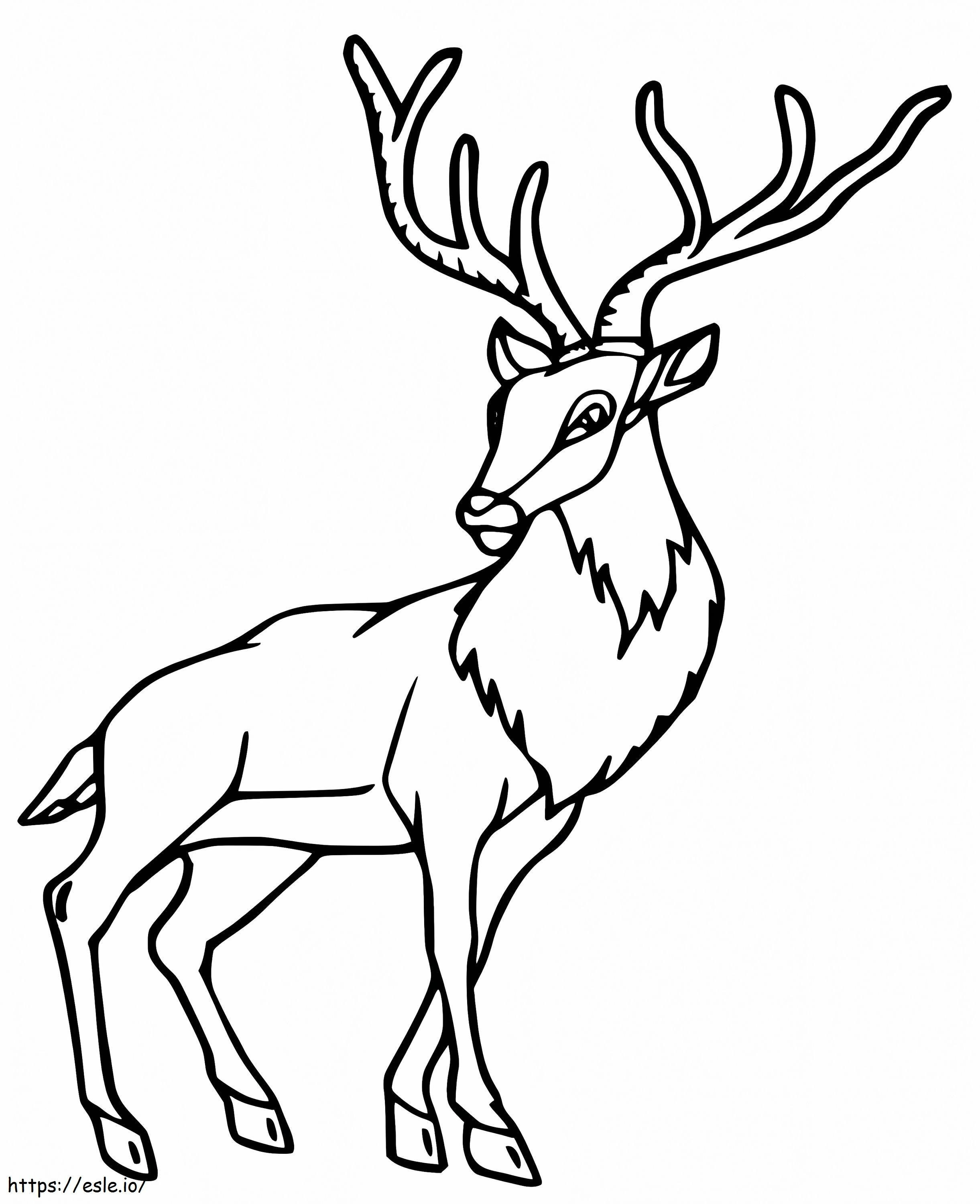 Red Deer 3 värityskuva