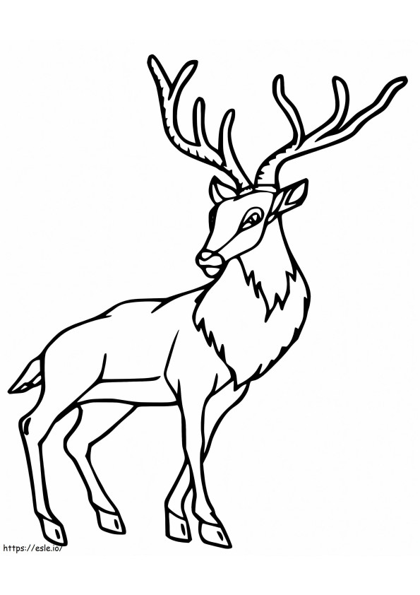 Red Deer 3 coloring page