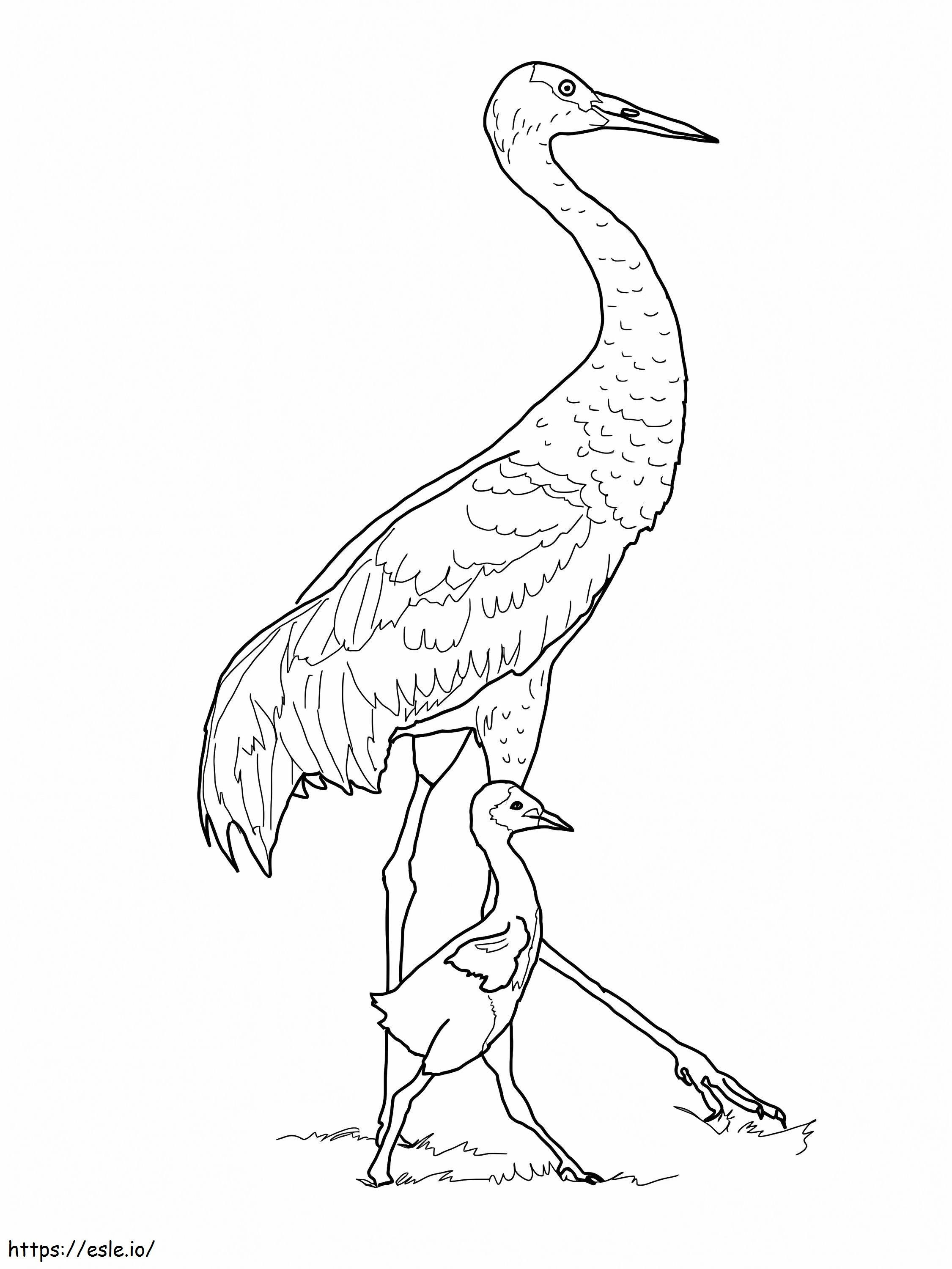 Sandhill Crane With Baby coloring page