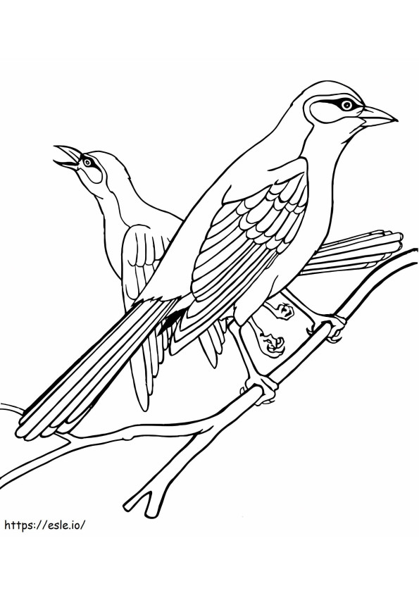Coloriage Deux oiseaux geais à imprimer dessin