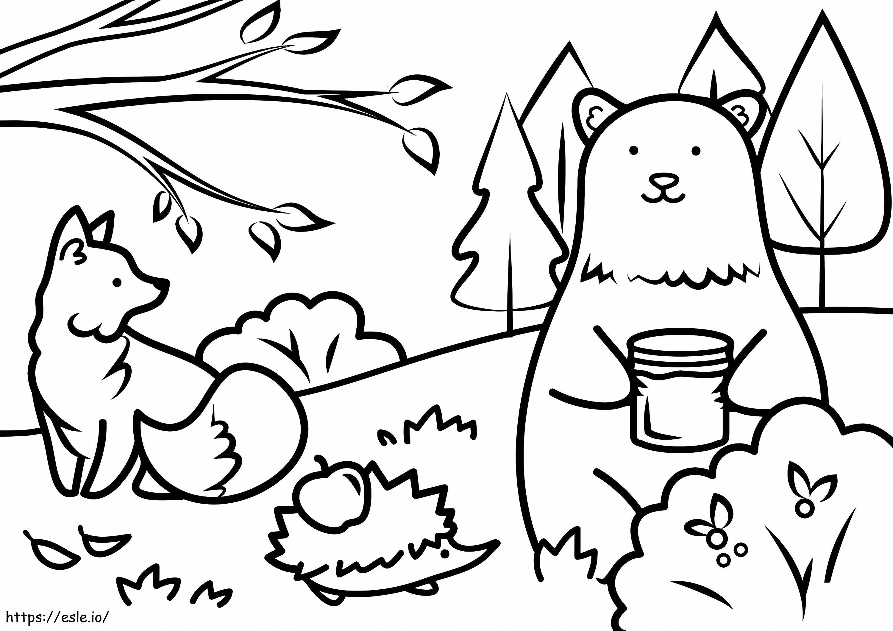 Animales De Oto o Para Colorear