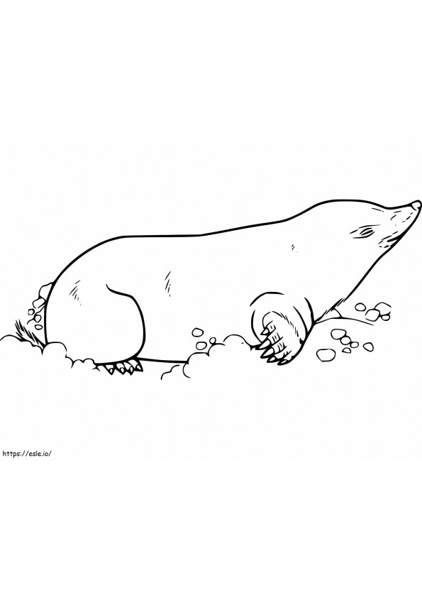 Mole On The Ground coloring page