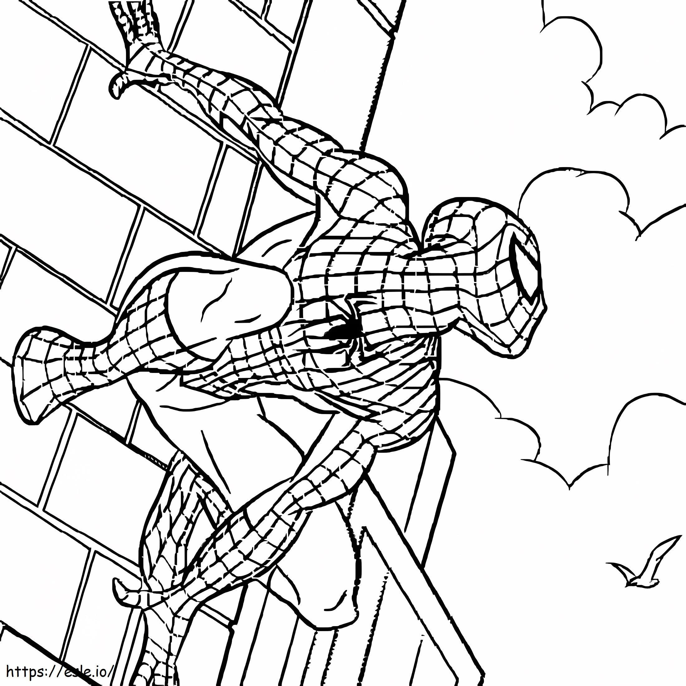 Spiderman katselee värityskuva
