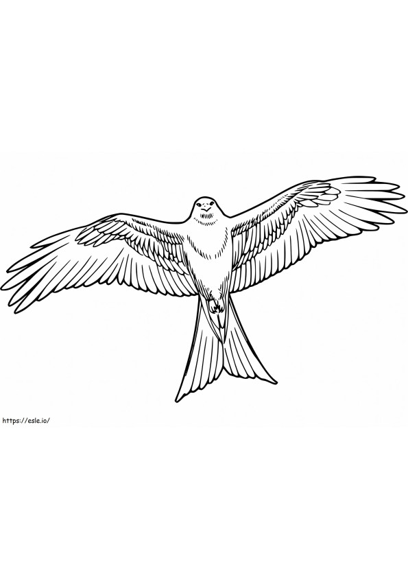 Zwarte Wouwvogel