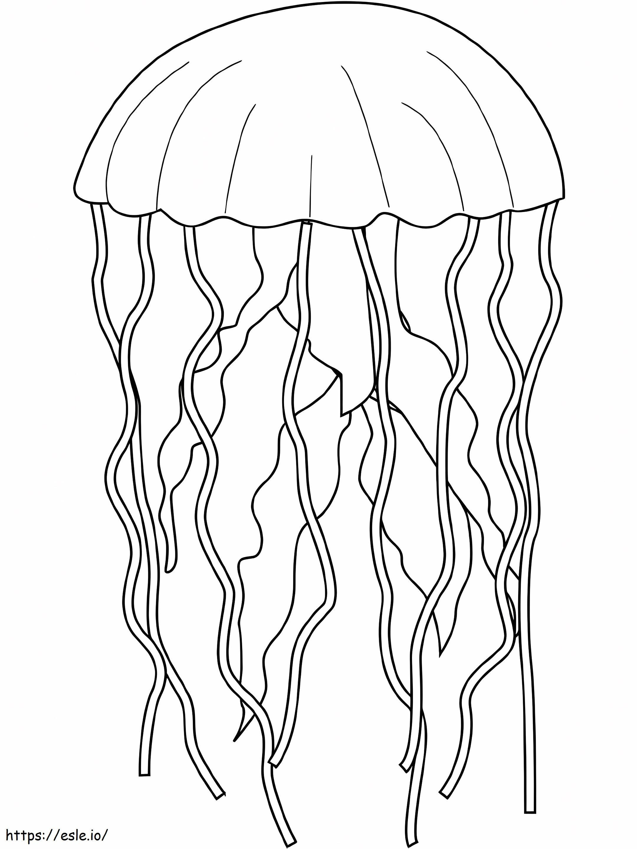 Minunată meduză de colorat