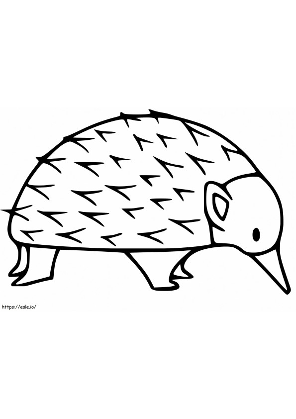 Simple Echidna coloring page