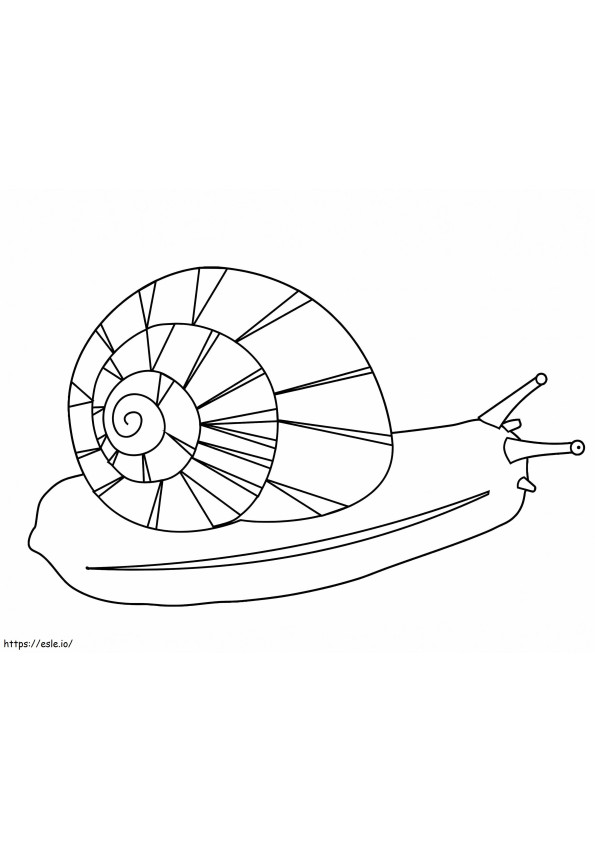 1559730652 A Snail A4 coloring page