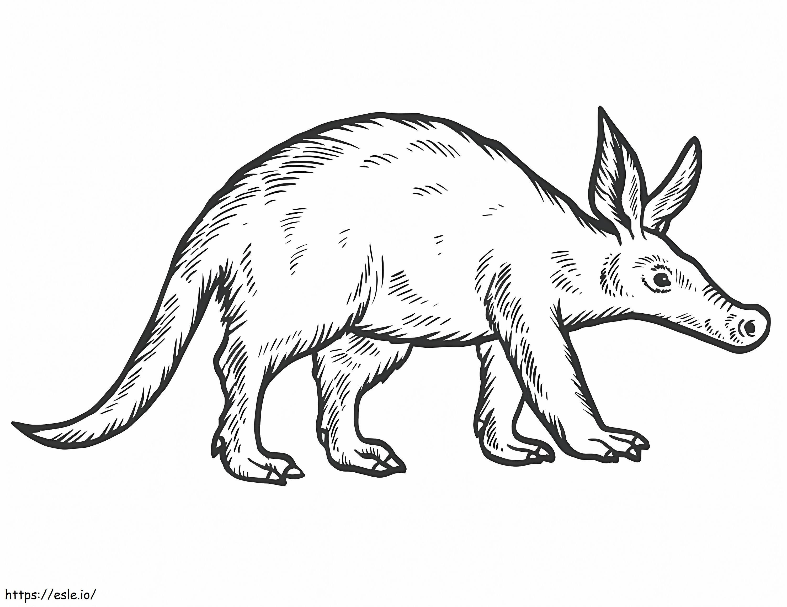 Aardvark 1 coloring page