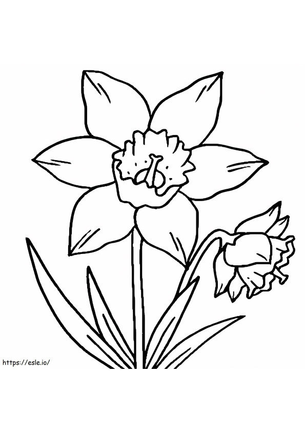 Two Daffodils In A Pot coloring page