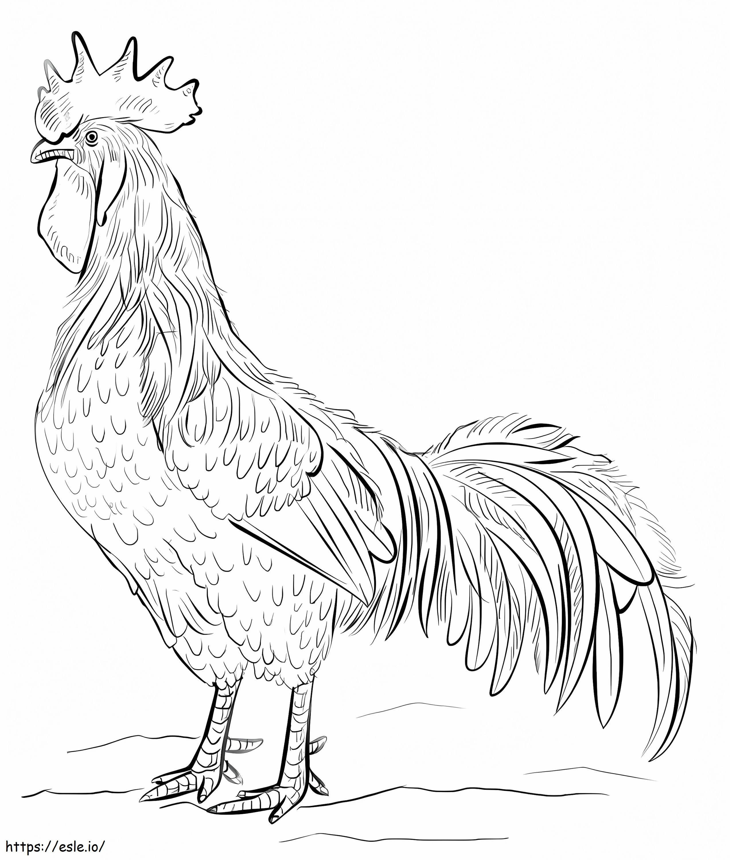 Brown Leghorn Rooster coloring page