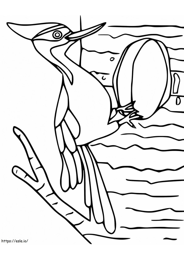 Basic Little Woodpecker coloring page