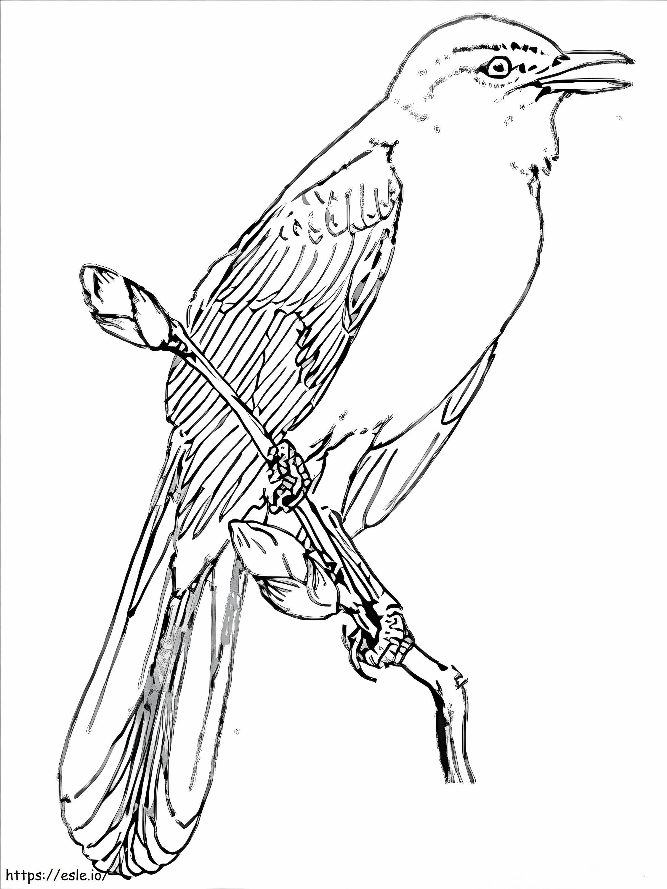 Stunning Nightingale coloring page