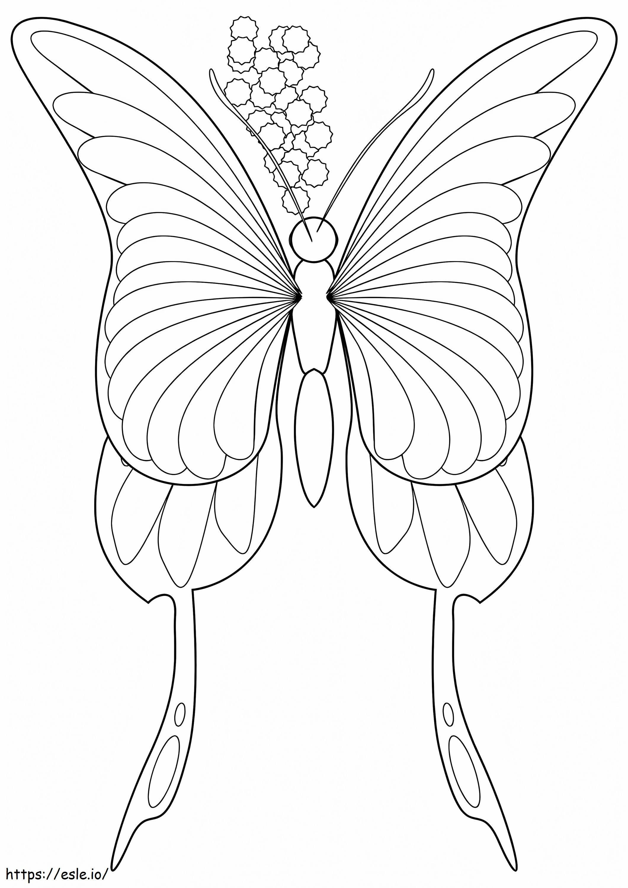 Wonderful Butterfly coloring page